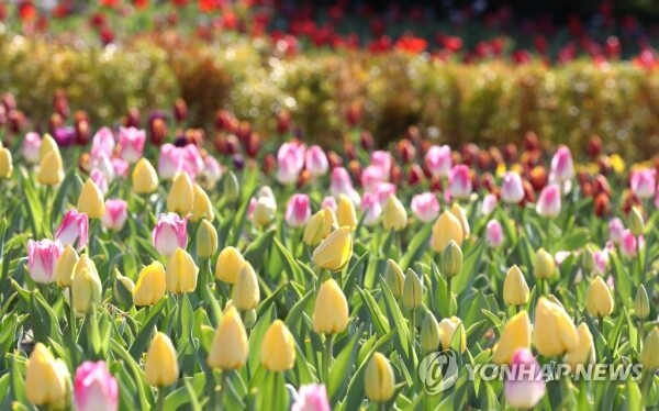 [사진=연합뉴스]