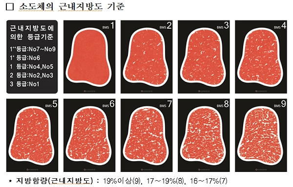 [출처= 식품의약품 안전처]