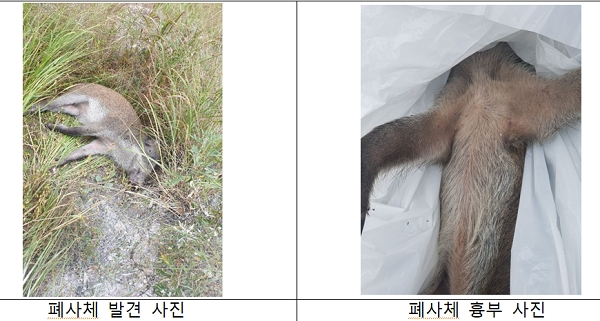 [출처= 환경부]
