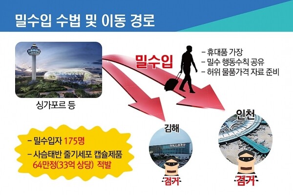 [그래픽= 관세청 제공]