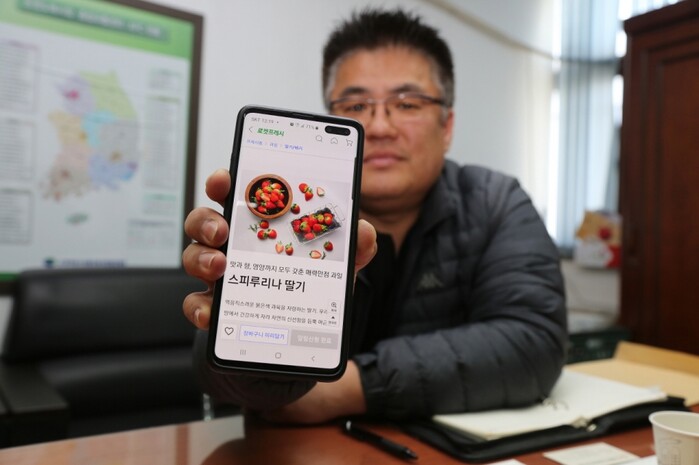 지난 20일 구리농수산물도매시장에서 만난 인터넷청과 주성진 정가수의사업부 이사(도매법인)는 기자에게 쿠팡에서 대박 난 스피루리나 딸기에 대해 설명하기 위해 스마트폰을 보여주고 있다.