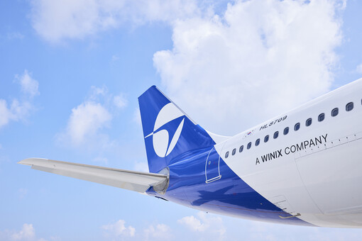 파라타항공, ‘앤어워드’ 디지털광고 ...