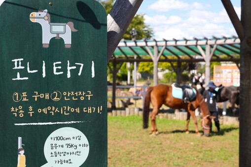 한국마사회, 렛츠런파크 서울 ‘포니 ...