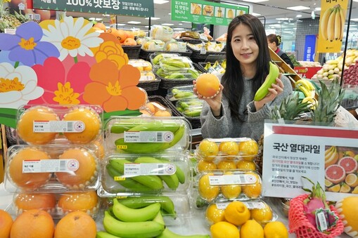 롯데마트, 국산 열대·아열대 과일 출...
