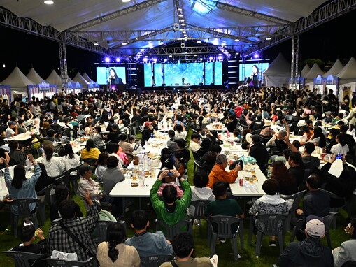 "공연부터 맥주축제·500대 드론쇼까...