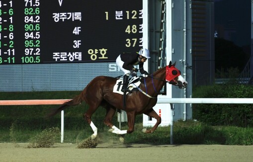 서승운 기수, 데뷔 15년 만에 10...